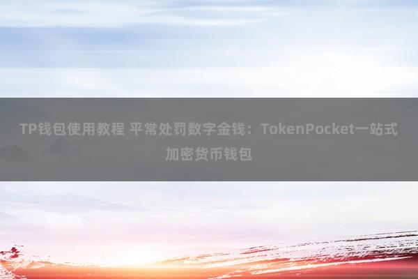 TP钱包使用教程 平常处罚数字金钱：TokenPocket一站式加密货币钱包