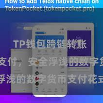 TP钱包跨链转账 TP钱包支付，安全浮浅的数字货币支付花式