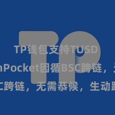 TP钱包支持TUSD TokenPocket因循BSC跨链，无需恭候，生动跨链操作